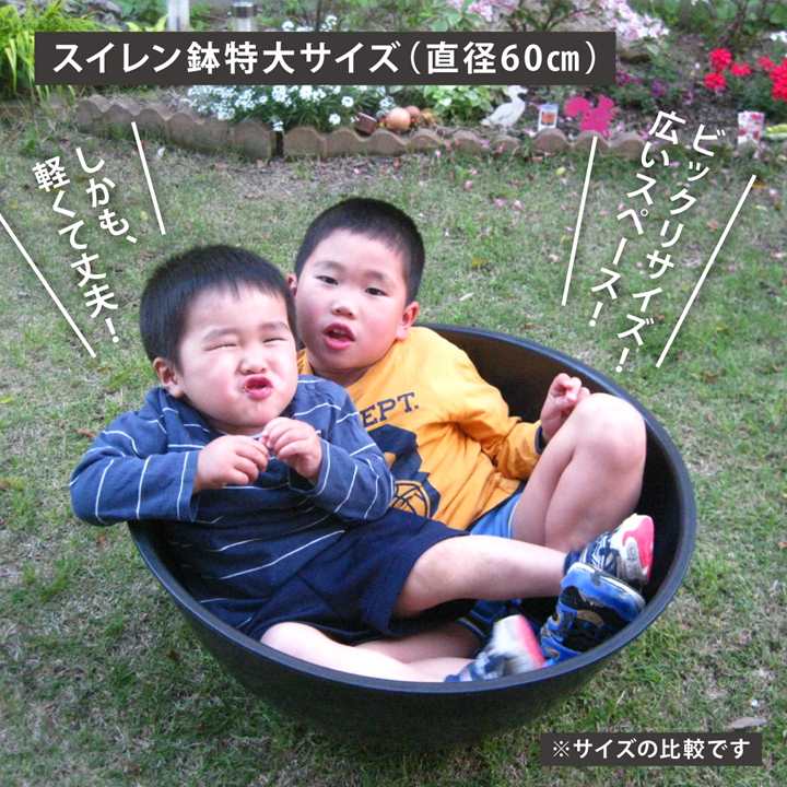 軽くて丈夫なスイレン鉢 直径60cmの特大サイズ（黒）2個セット メダカ