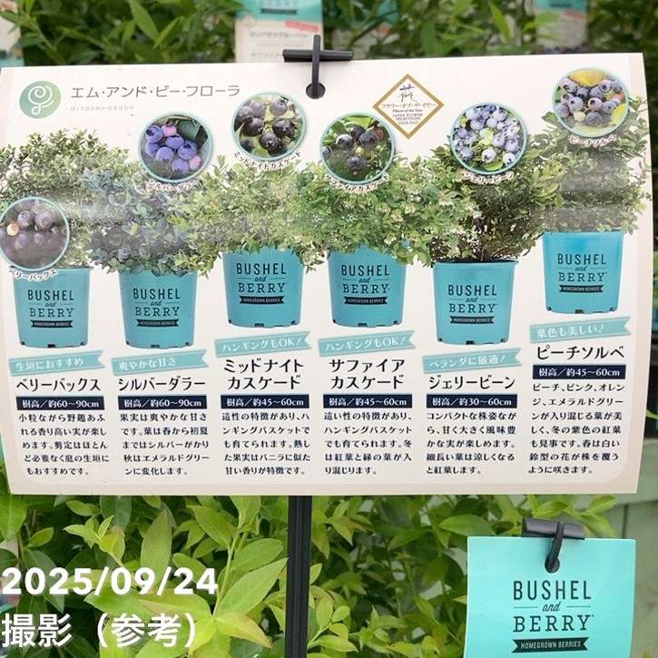 植物　予約専用ページ 寄せ植え講習会参加者募集中！[緑と花の百科展] | アトリエnana 多肉