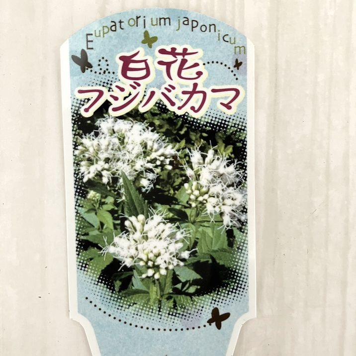 白花様 ♢ 専用ページ S59: ayumama様 専用ページ ビジュー付き