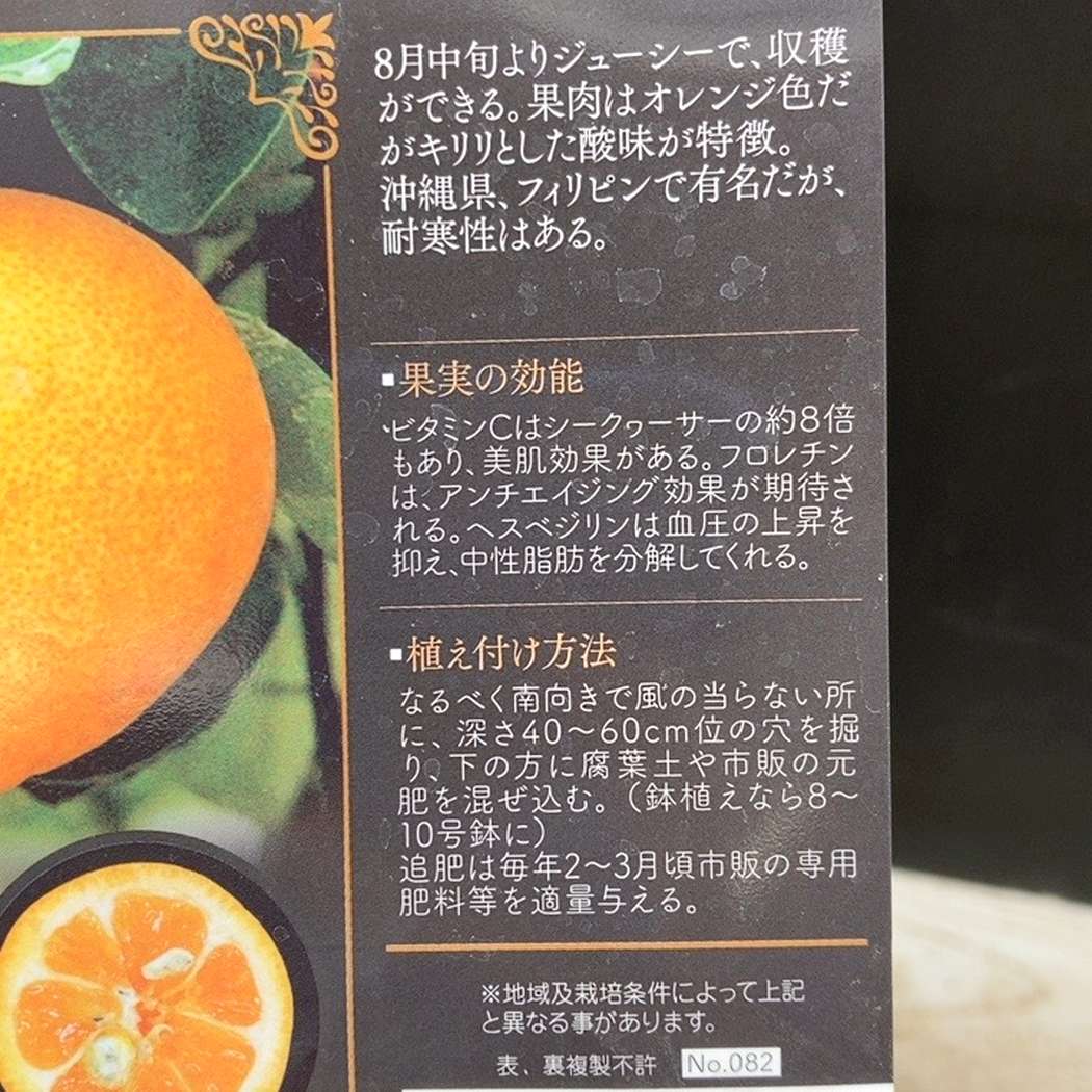 四季橘（四季柑）5号｜柑橘｜果樹04-PA | 果樹,柑橘 | 赤塚植物園