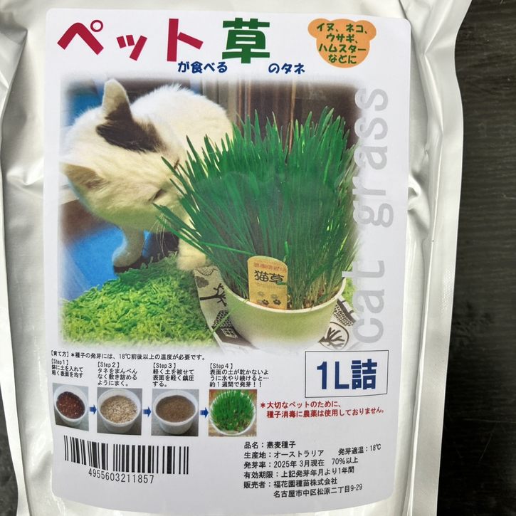ペットが食べる草のタネ(燕麦種子)1L詰 ※種子消毒(農薬)無 |タネ10-TU