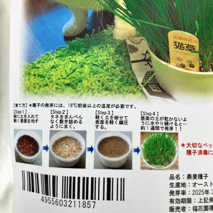 ペットが食べる草のタネ(燕麦種子)1L詰 ※種子消毒(農薬)無 |タネ10-TU