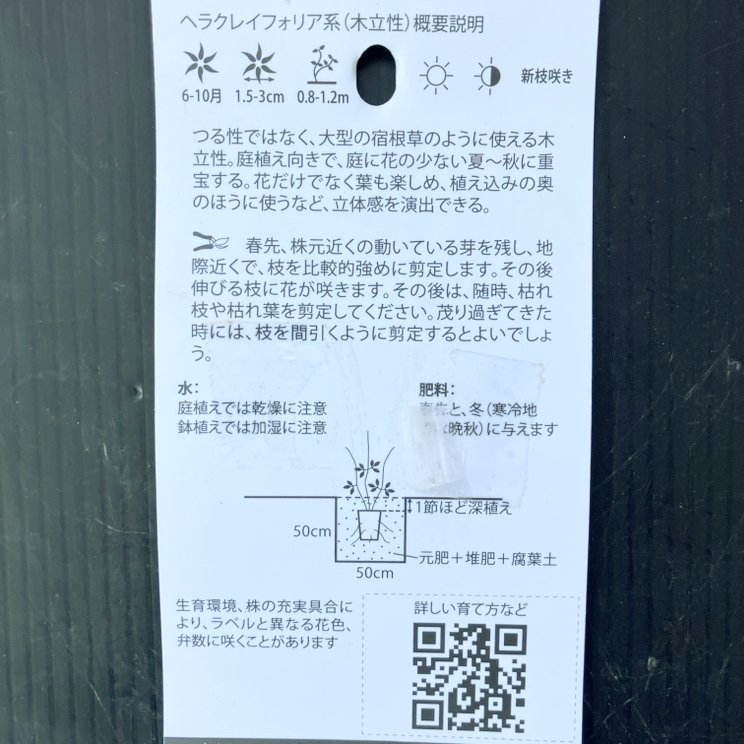 クレマチス ヘラクレイフォリア系(木立性)歩々 4号|草花04-PA