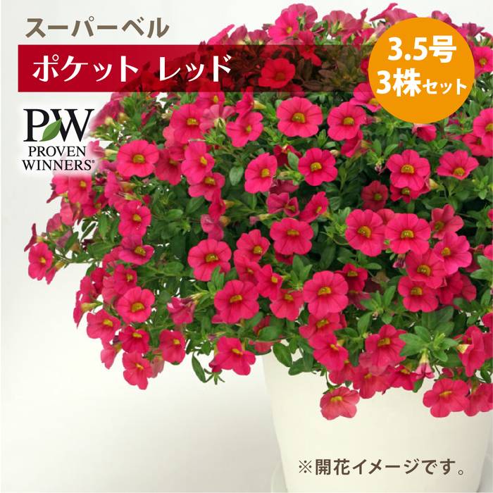 紅花ページ もっと楽しむ！日本遺産「山寺と紅花」紅花スタンプラリーの旅：山形県