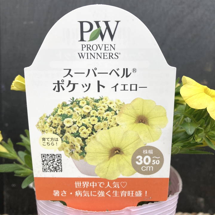 【花ページ②】 造花】YDM/ハイビスカス オレンジ/FS-8355OR - 花材通販はなどんやアソシエ