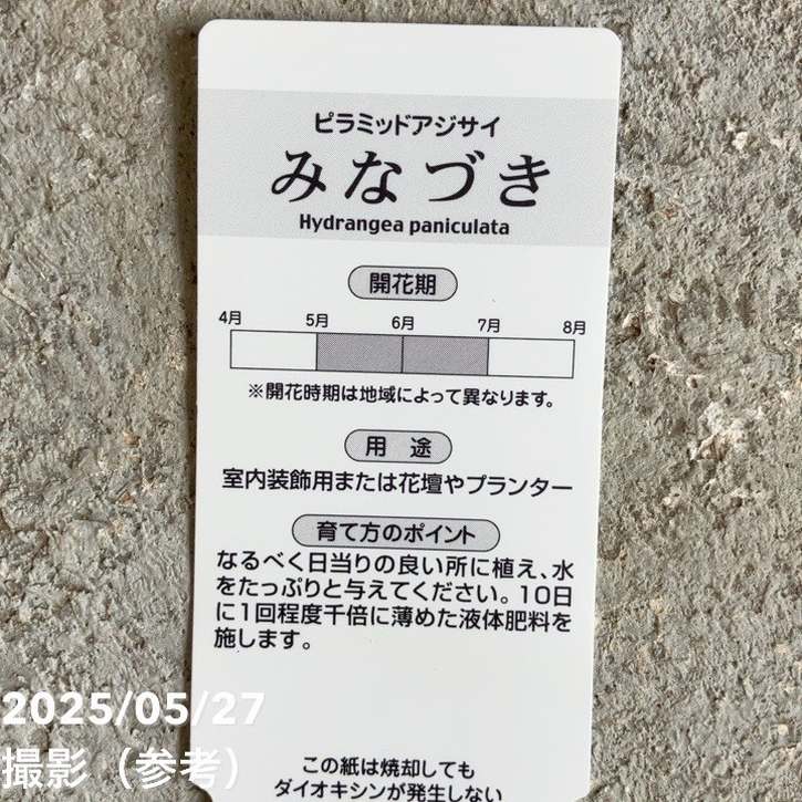 ピラミッドアジサイ みなづき 5号｜花木04-PA | 花木・庭木