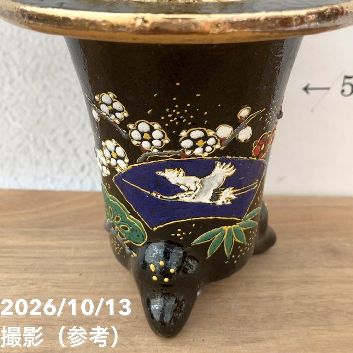 秋セール10%OFF！11/1まで】【現品お届け】豊明園 万年青 オモト 金剛