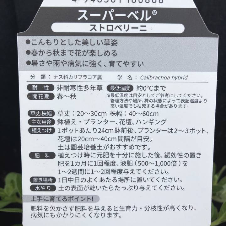 PW スーパーベル ストロベリーニ 3.5号×3株セット｜草花04-PA | 草花