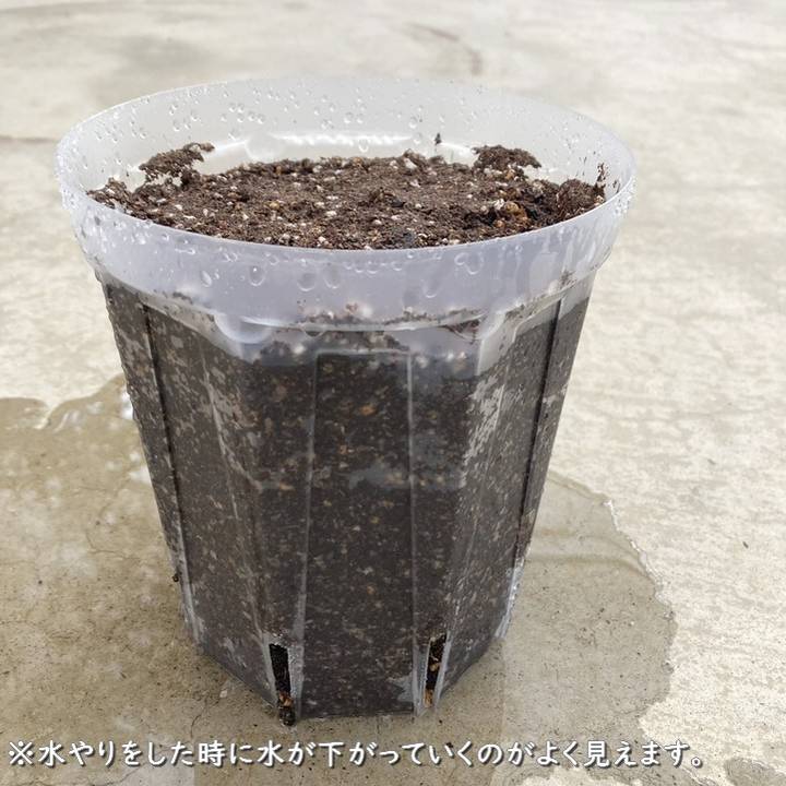 根詰まりしにくい！スリット鉢 5号ロング 5鉢セット ネガミエル