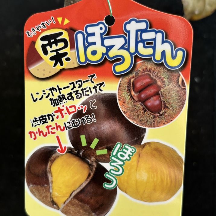 ぽろたん ぽろたん”と”ぽろすけ”2品種セット渋皮がむきやすい栗の苗木 12