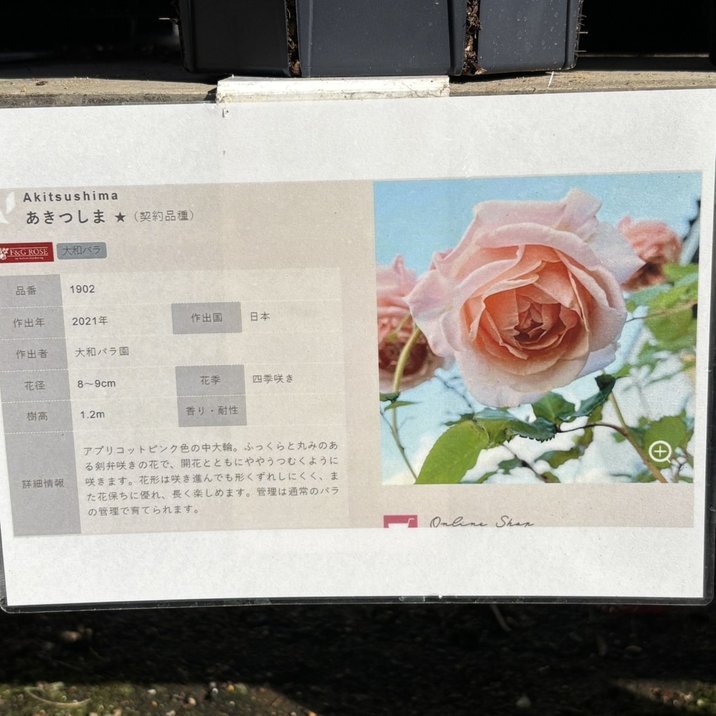 レコード6枚売りバラ売り可能！ Z156 / TIGER パラコード 4mm / 白銀〈1束(30m)〉:がまぐち口金・各種