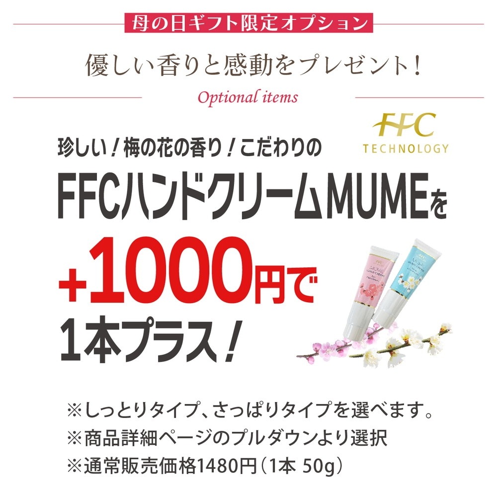 お届け5/14以降】母の日ギフト2025 カーネーション サキーネ 4色植え 5