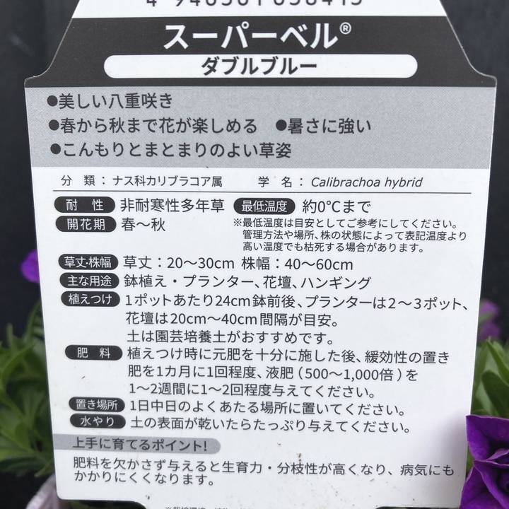 PW スーパーベル ダブルブルー 3.5号×3株セット PVP｜草花04-PA | 草花