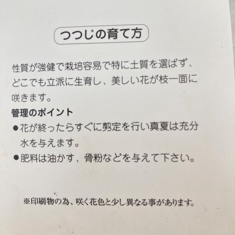 八重咲き玄海ツツジ 光源氏 4 5号 10花木 花木 庭木 珍しい花木 庭木 赤塚植物園オンライン 花の音