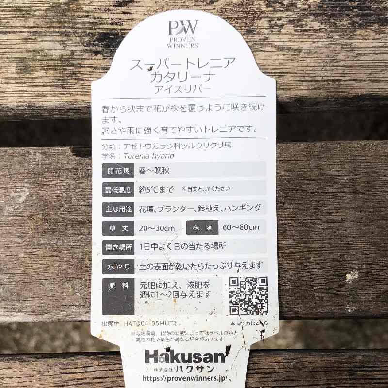 PW スーパートレニア カタリーナ アイスリバー 3~3.5号×3株セット PVP|草花04-PA