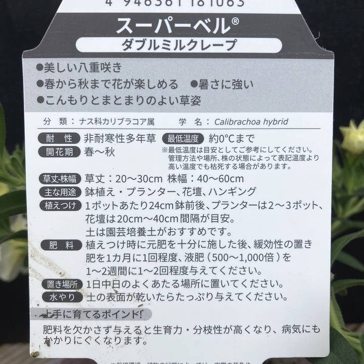 ピ*ト様 値下げ　値引き可能ブルーベル　W400 グローバーペグ　エレアコ仕様 クロコダイルエンボス ドレスベルト | Brooks Brothers Japan