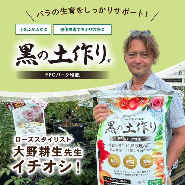 バラ大苗 コラーユ・ジュレ 7号ロングスリット鉢 河本バラ園 河本純子さん|花木04-PA