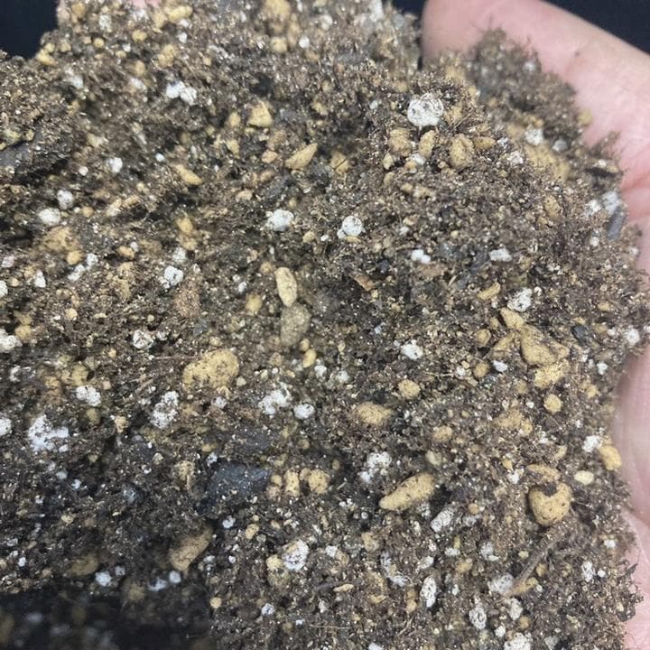 NATIVE PLANTS SOIL ネイティブプランツの土 16L入り（植物との同梱