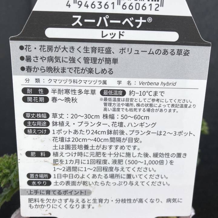 PW スーパーベナ レッド 3.5号×3株セット｜草花04-PA | 草花,[季節の