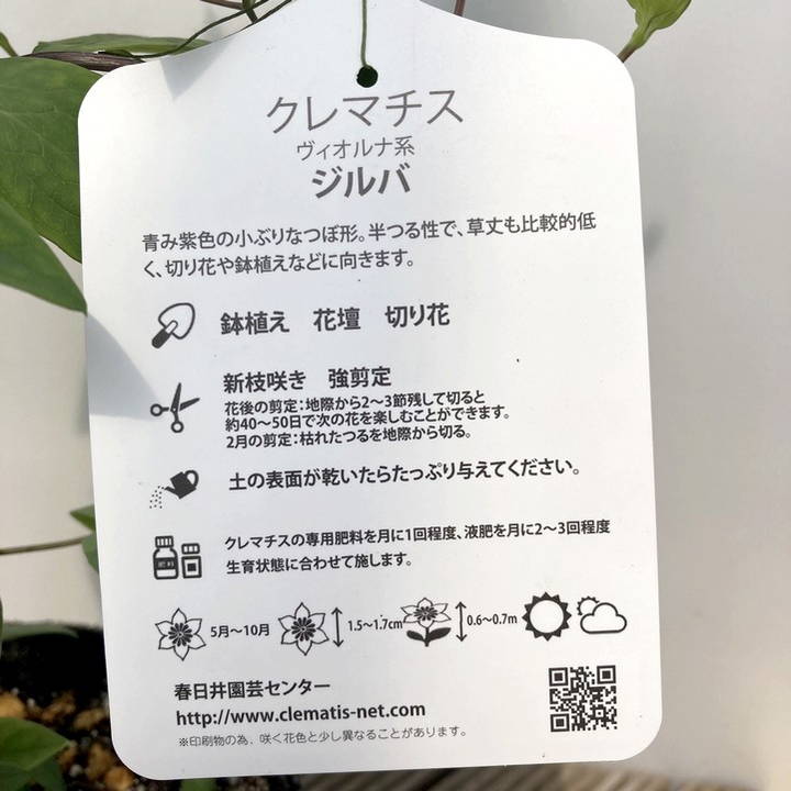 クチナシ　専用 Neilmed サイナスリンス キシリトール リフィル 30包 | Costco Japan