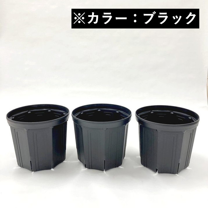 根詰まりしにくい！スリット鉢 8号 3鉢セット（ブラック）｜資材