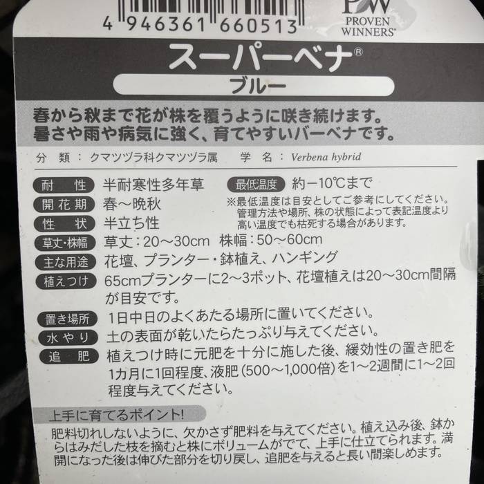 PW スーパーベナ ブルーimp 3.5号×3株セット|草花04-PA