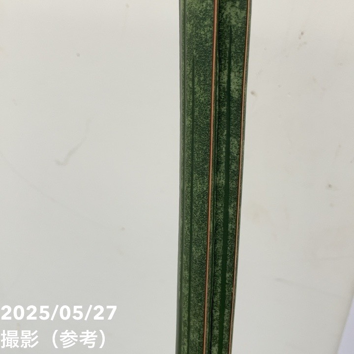 サンスベリア 6号 マイウイバット プラ鉢仕様｜s200｜観葉02-D2 | 観葉