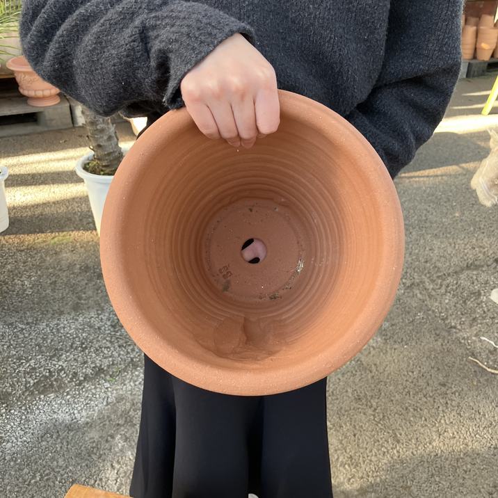 テラコッタ鉢 ウィッチフォード Whichford Arum pot ss（代引き不可