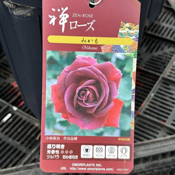407mk39●斉藤上太郎 ブランド 小紋 薔薇尽くし ローズ バラ●美品 407mk39○斉藤上太郎 ブランド 小紋 薔薇尽くし ローズ バラ○美