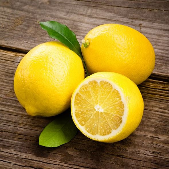 すっぱいレモン様　　5苗 すっぱいレモン様 5苗