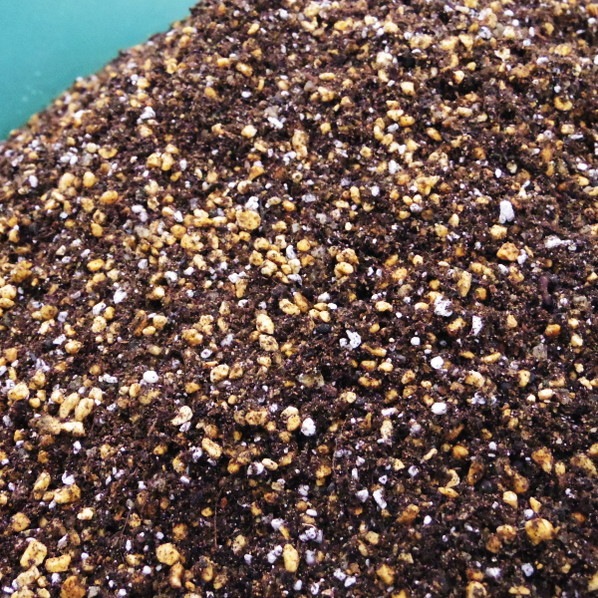 【お買い得!】赤塚オリジナル シャクナゲの土 14L入り 3袋セット(植物との同梱不可)※ツツジ・サツキ・ブルーベリーにも|用土10-TU