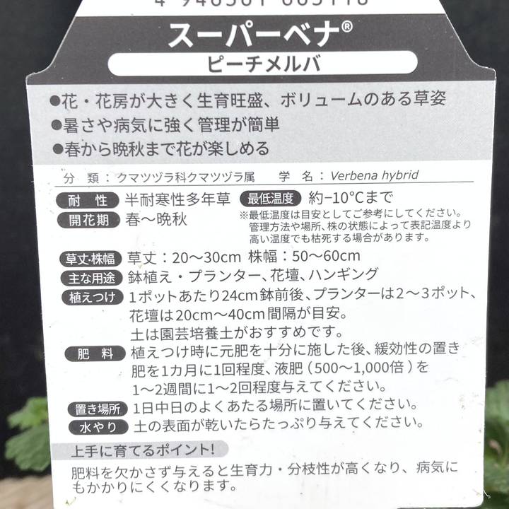 PW スーパーベナ ピーチメルバ 3.5号×3株セット|草花04-PA
