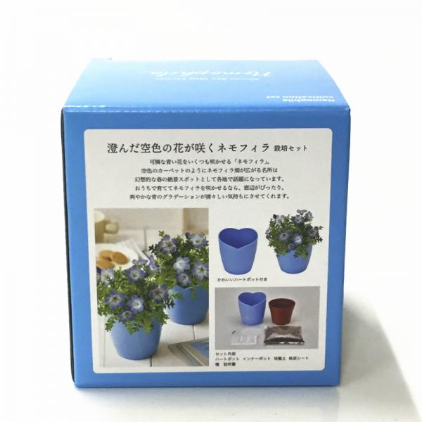 澄んだ空色の花が咲く ネモフィラ栽培セット Bloom Sky Blue Flower 2個セット すべての商品 赤塚植物園オンライン 花の音