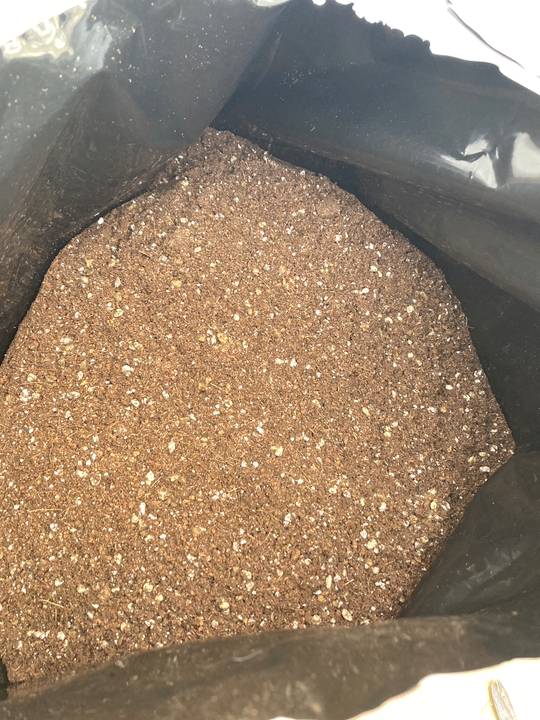 赤塚オリジナル サンセベリアの土 24L入り 無地袋(植物との同梱不可)|用土02-TU