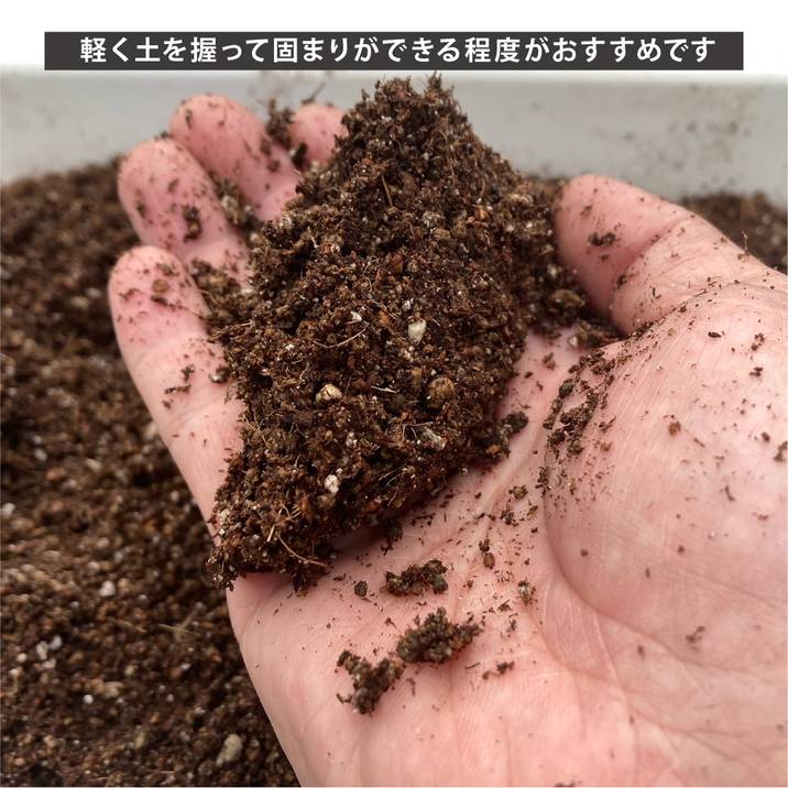 赤塚オリジナル サンセベリアの土 24L入り 無地袋(植物との同梱不可)|用土02-TU