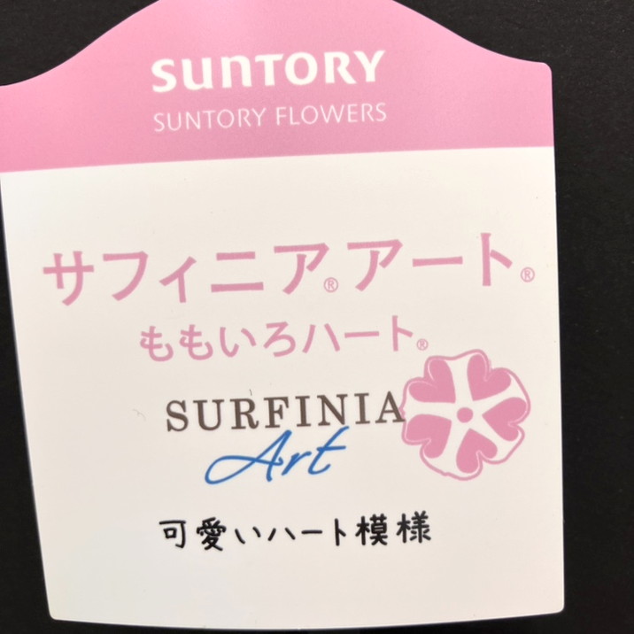 サフィニア アート ももいろハート 5号｜草花10-TU | 草花,[季節の草花
