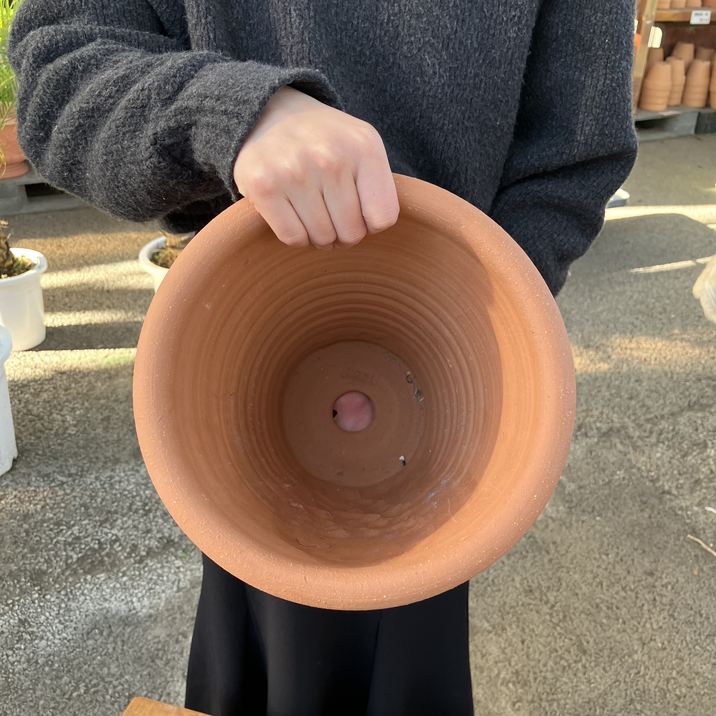 テラコッタ鉢 ウィッチフォード Whichford Paperwhite Pot 792