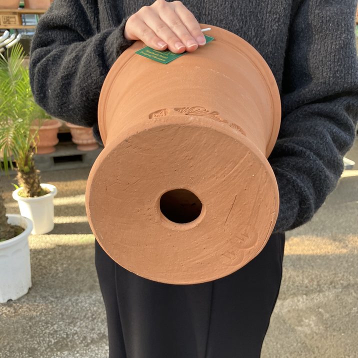 テラコッタ鉢 ウィッチフォード Whichford Paperwhite Pot 792