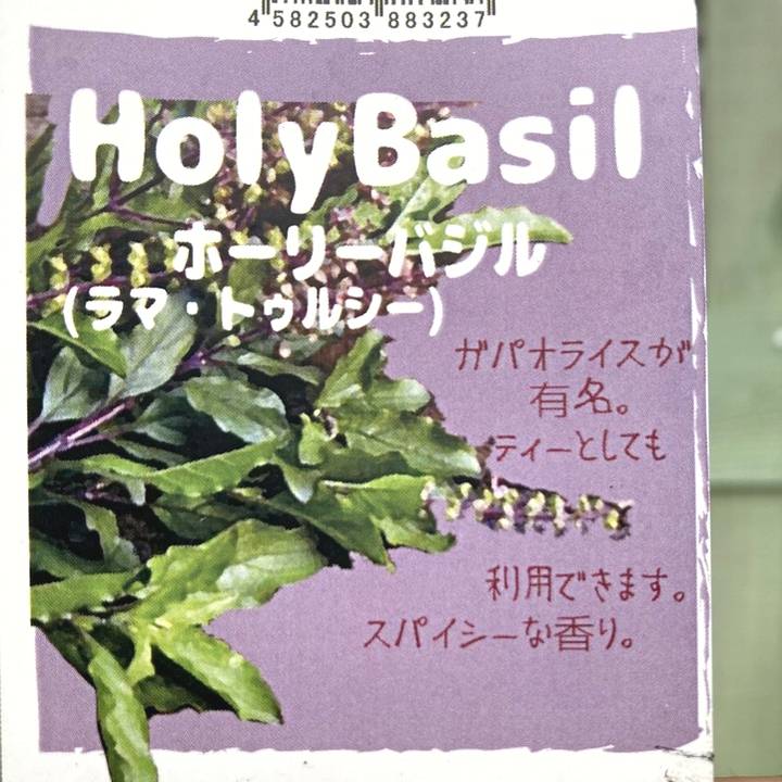 タイムsale！奇跡のハーブ ホーリーバジル 奇跡のハーブホーリーバジル (アーユルヴェーダ叢書) | ヤシュ ライ