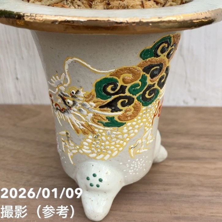 万年青鉢　龍 万年青鉢 万年青鉢 龍 三河焼万年青鉢（おもとばち）には縁起の