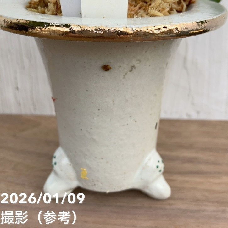 現品お届け】豊明園 万年青 オモト 剛光獅子 錦鉢 龍（O55）｜観葉10