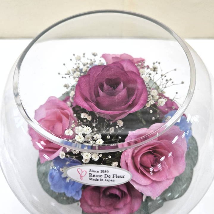 専用＊プロテア&エアプランツ フェイクスワッグ 【公式通販】