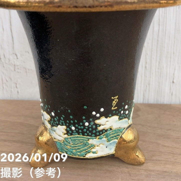現品お届け】豊明園 万年青 オモト お多福（おたふく） 錦鉢（O57