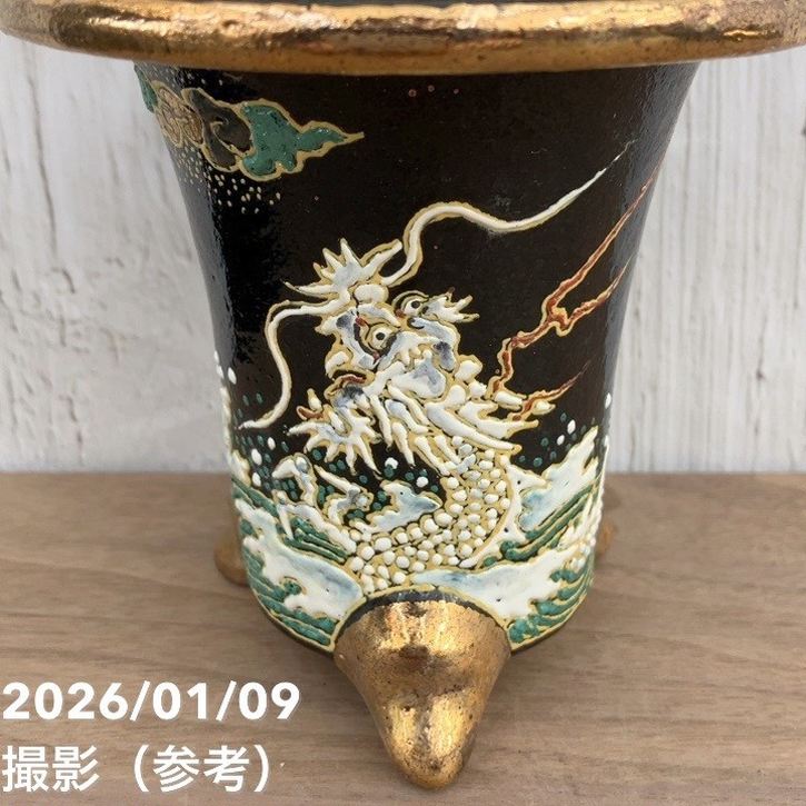 現品お届け】豊明園 万年青 オモト お多福（おたふく） 錦鉢（O57