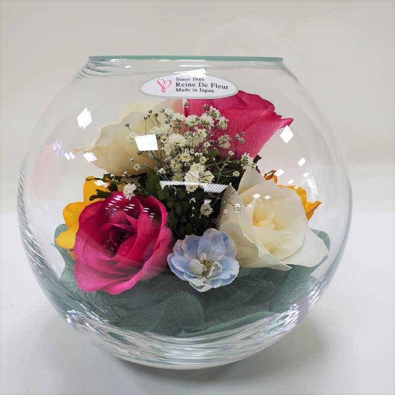 レンデフロール　大 レンデフロール Bowl Type AS-E｜雑貨04-PA | インテリア・雑貨