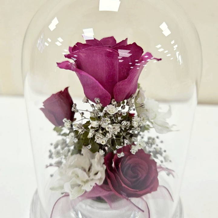 レンデフロール Dome Type R-I|雑貨04-PA