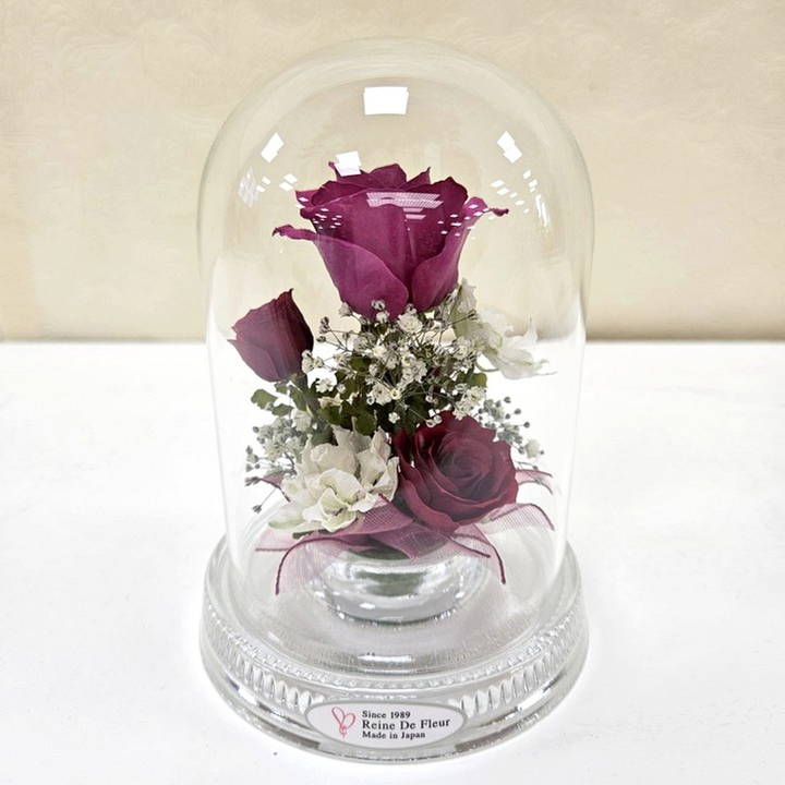 レンデフロール Dome Type R-I|雑貨04-PA