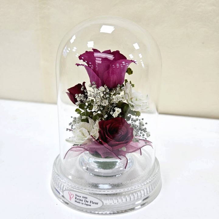 レンデフロール Dome Type R-I|雑貨04-PA