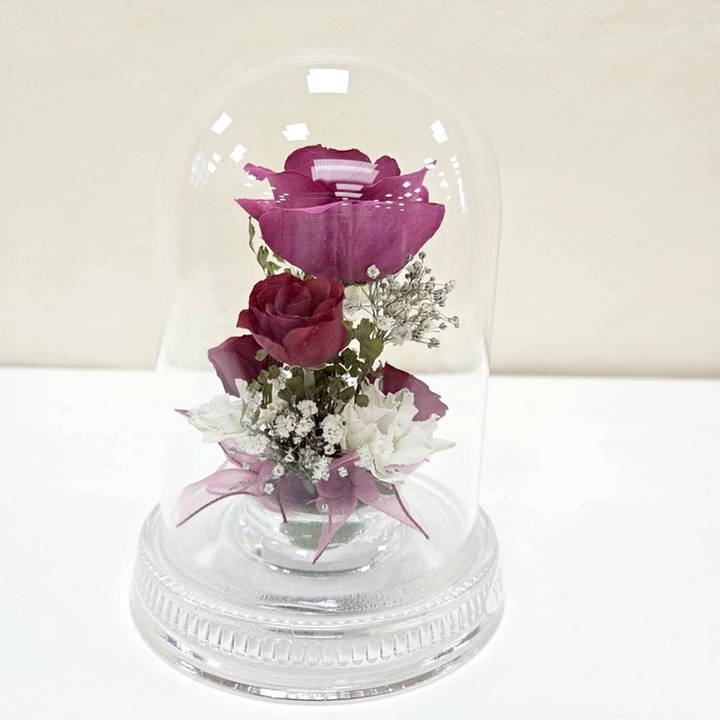 レンデフロール Dome Type R-I|雑貨04-PA