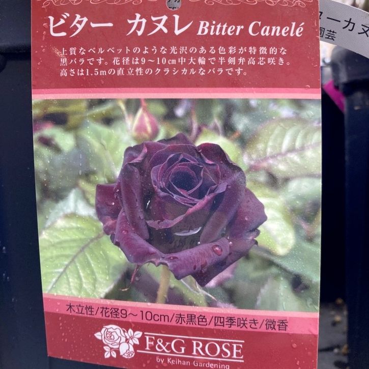 在庫写真 バラ売り可 ま/バラ売り不可ページ 58c8fe4d39d46d84850c8721759c05